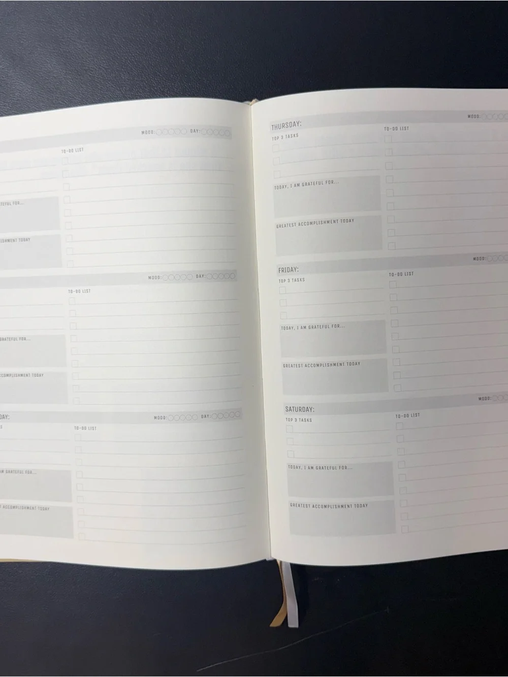 Planner Max 12-Month Weekly Planner - Cream New